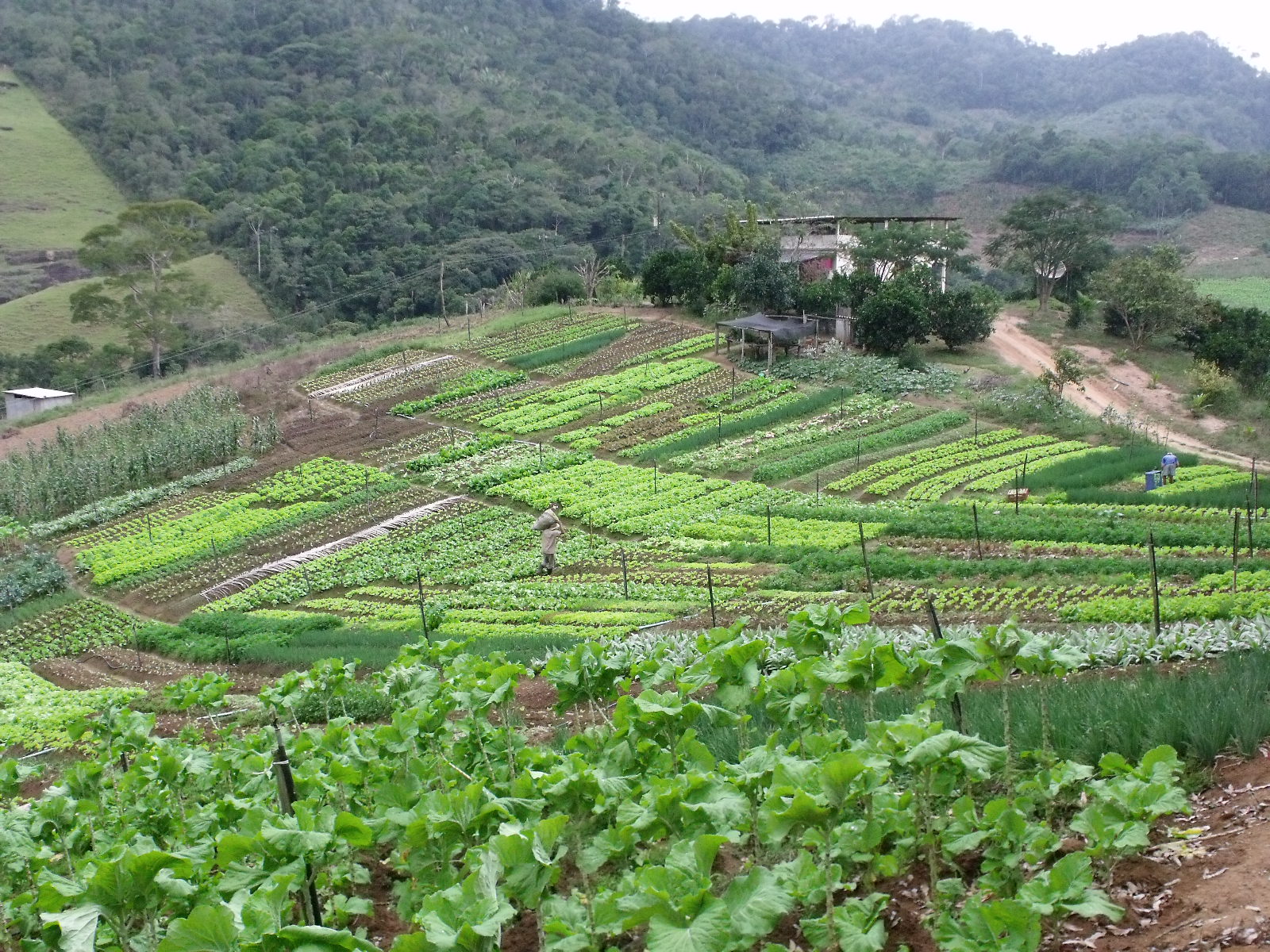 Perspectivas sobre o curso de Agronomia.