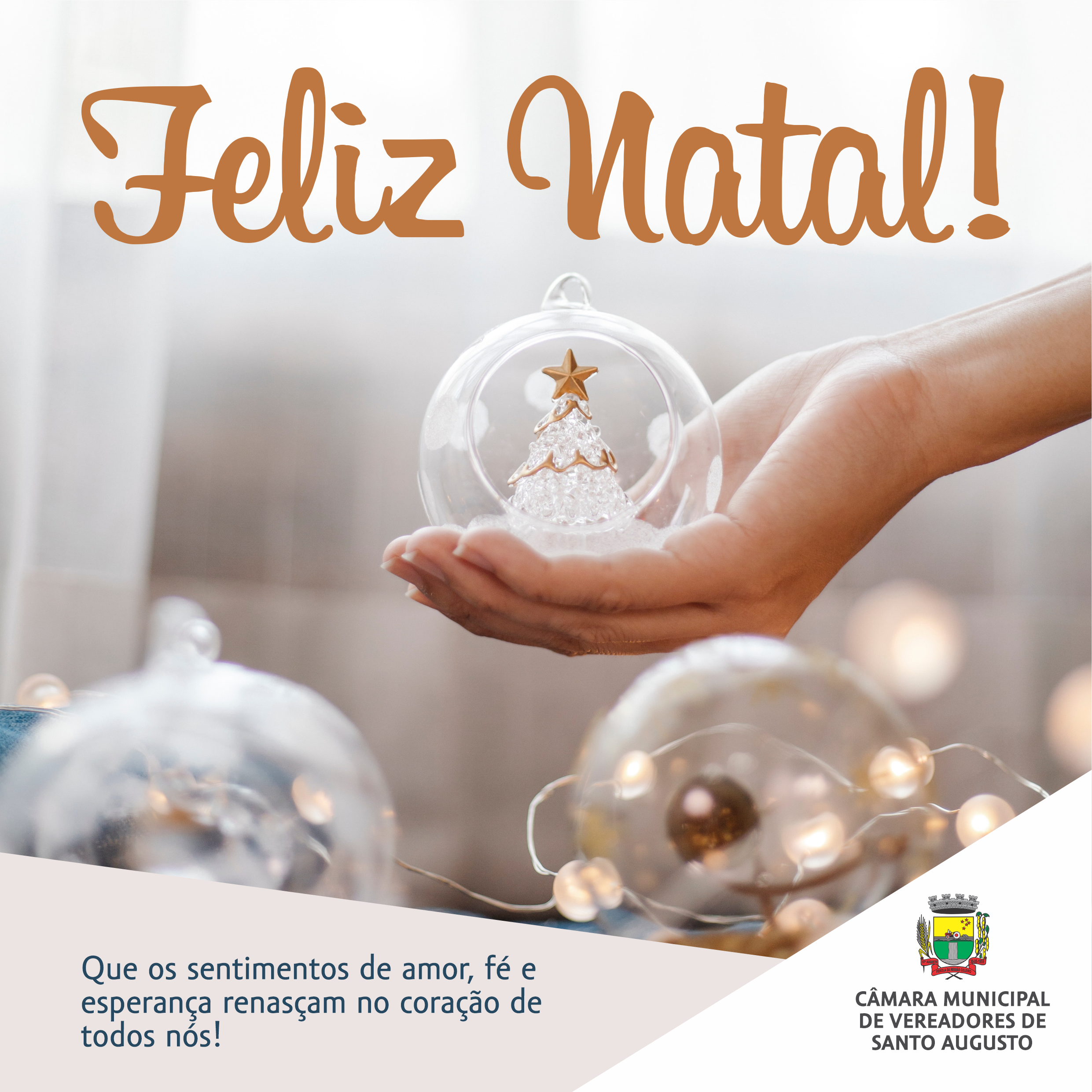 FELIZ NATAL! 🎄